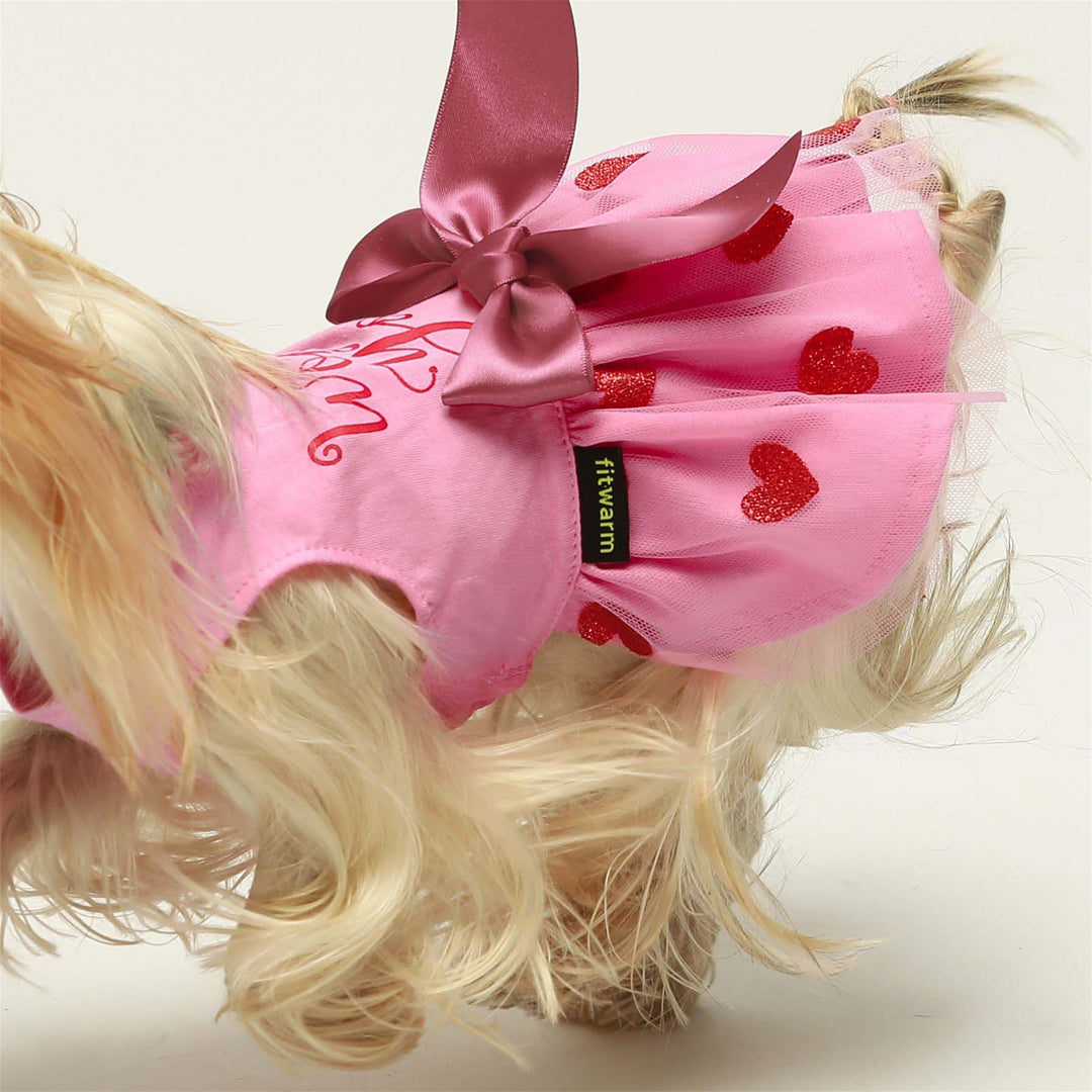 I Woof You teacup yorkie clothes