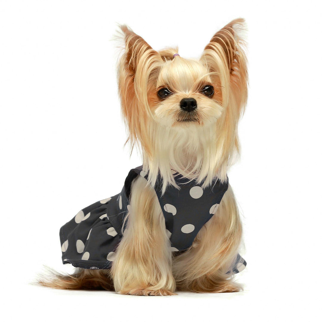 2-Pack Polka Dot yorkie clothes