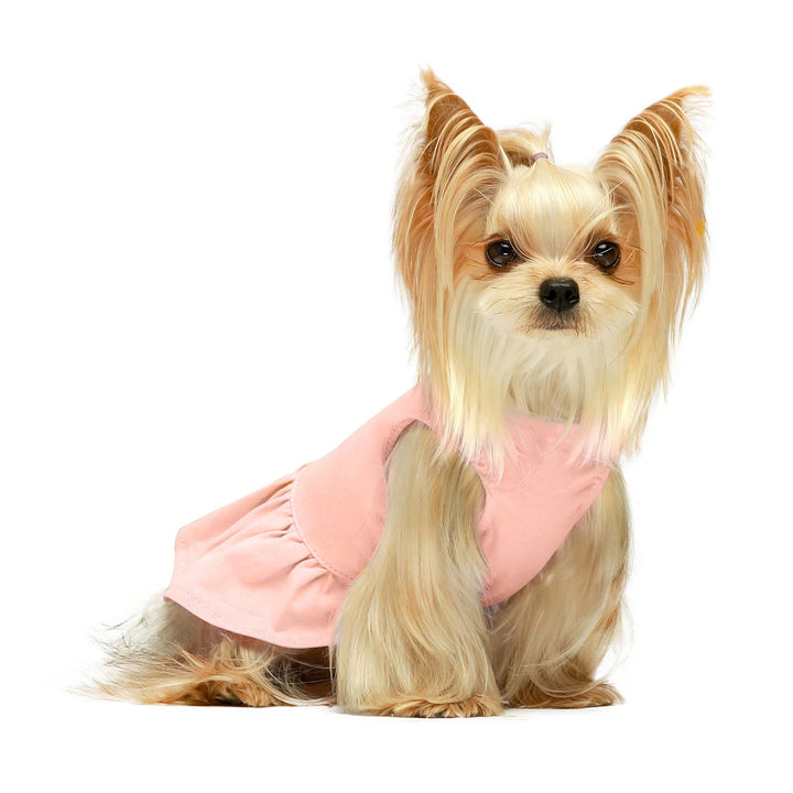 2-Pack Polka Dot yorkie clothes