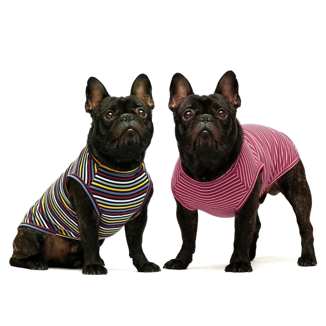 2-Pack Striped dog cloths