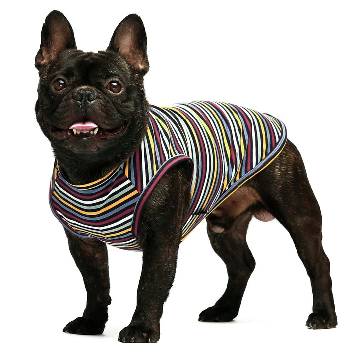 2-Pack Striped t shirts for dogs