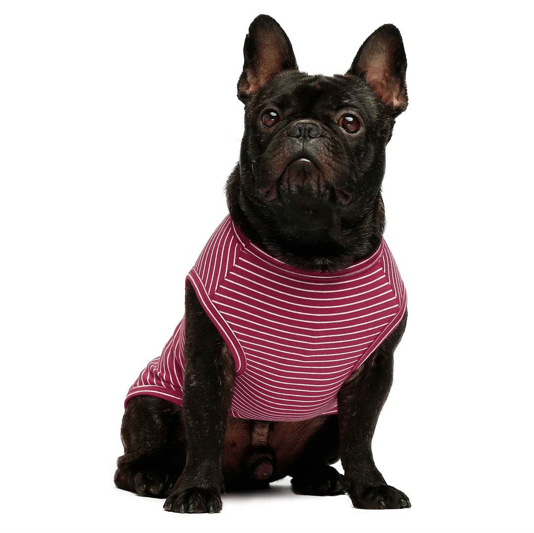 2-Pack Striped pet clothes