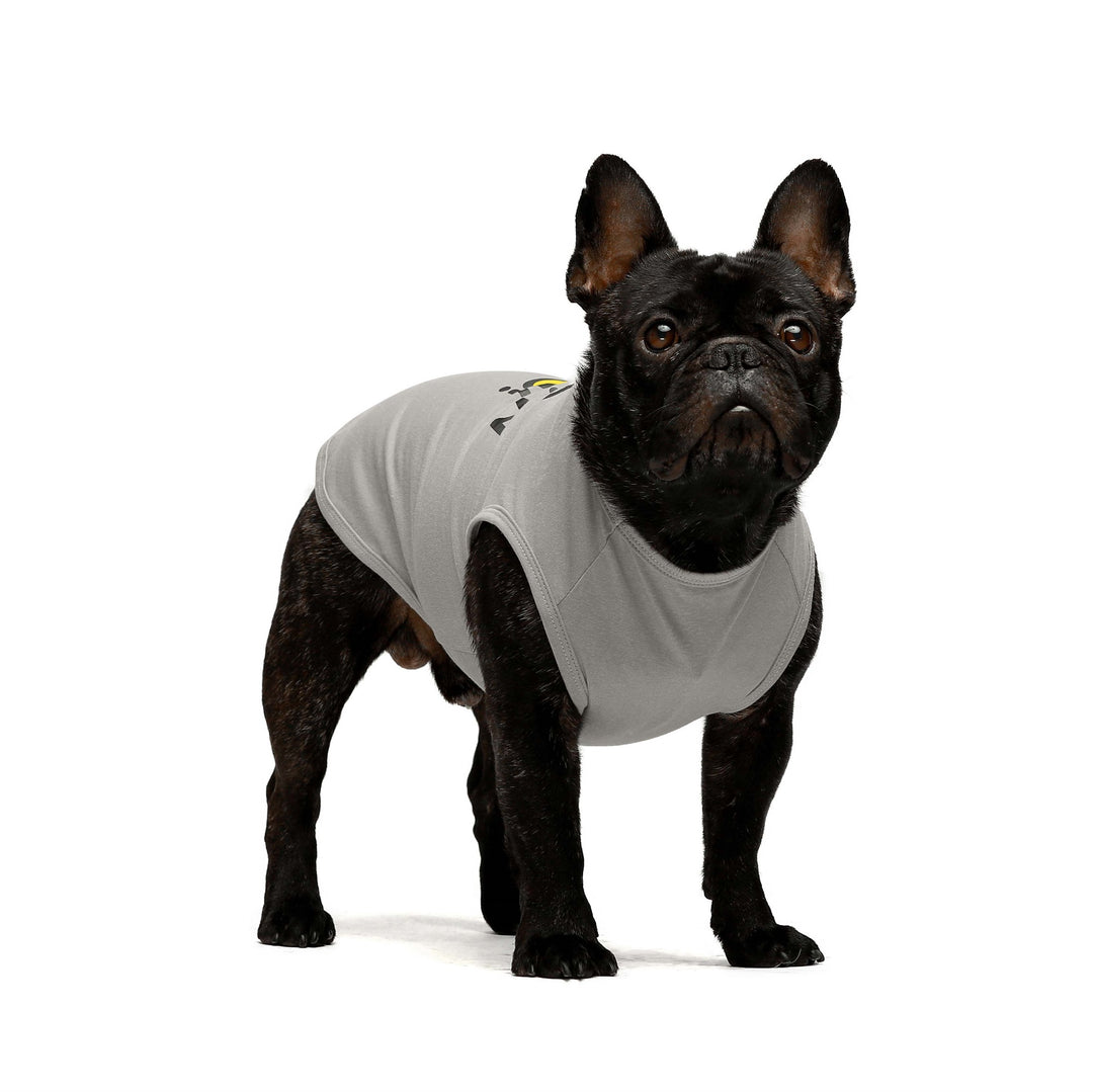 2-Pack Traffic Light Dog Shirts