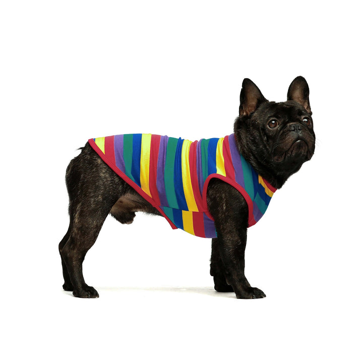 2-Pack Traffic Light clothing for frenchies