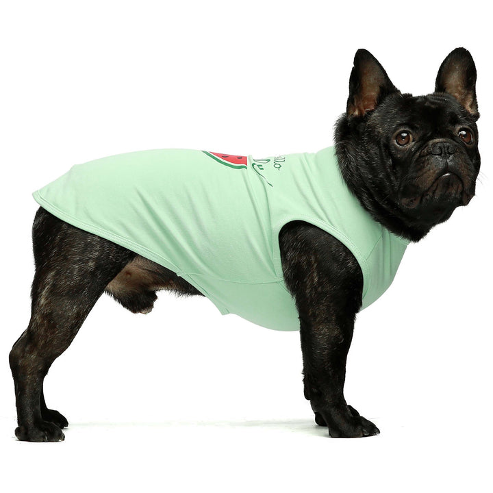 2-Pack Watermelon french bulldog clothes