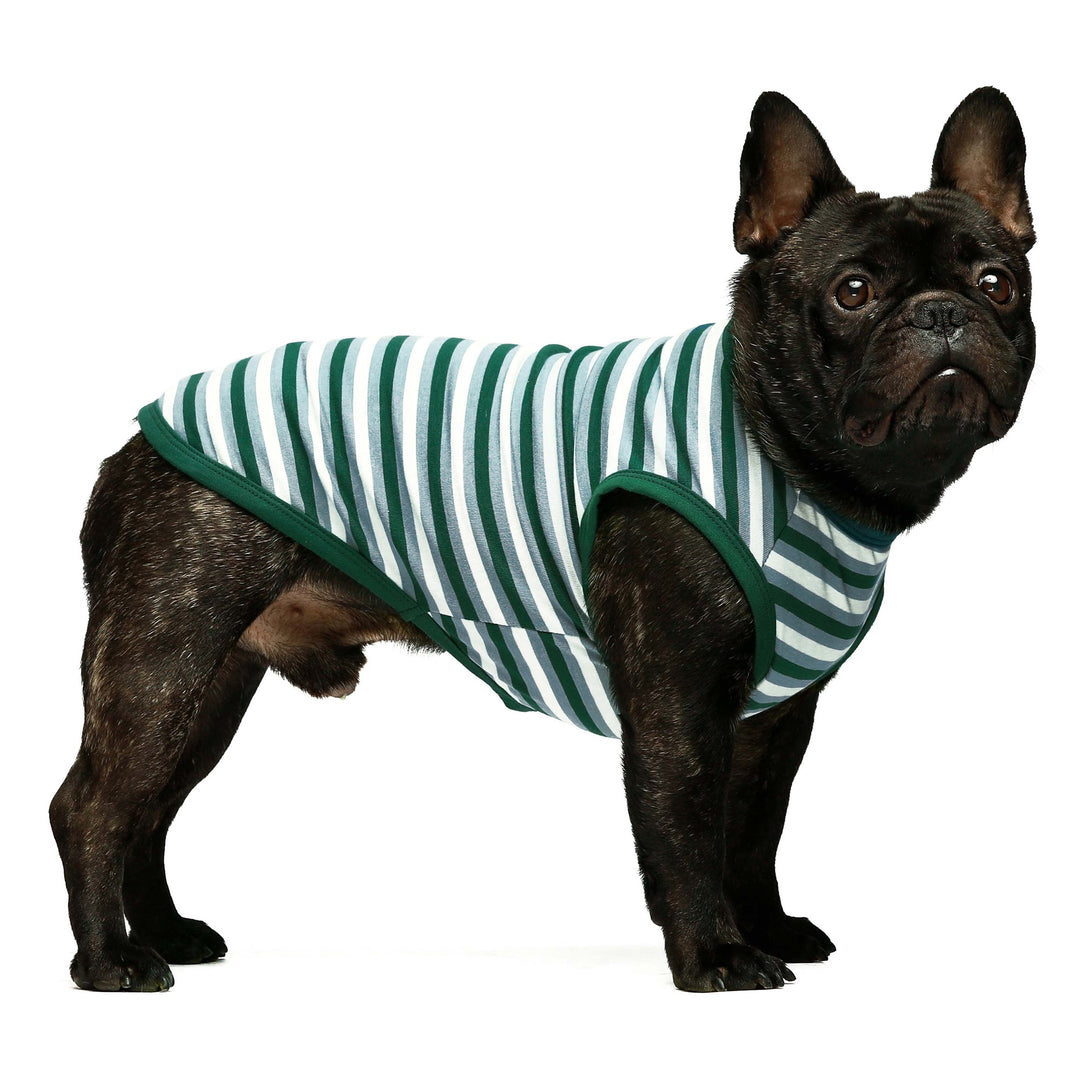 2-Pack Watermelon frenchie clothing