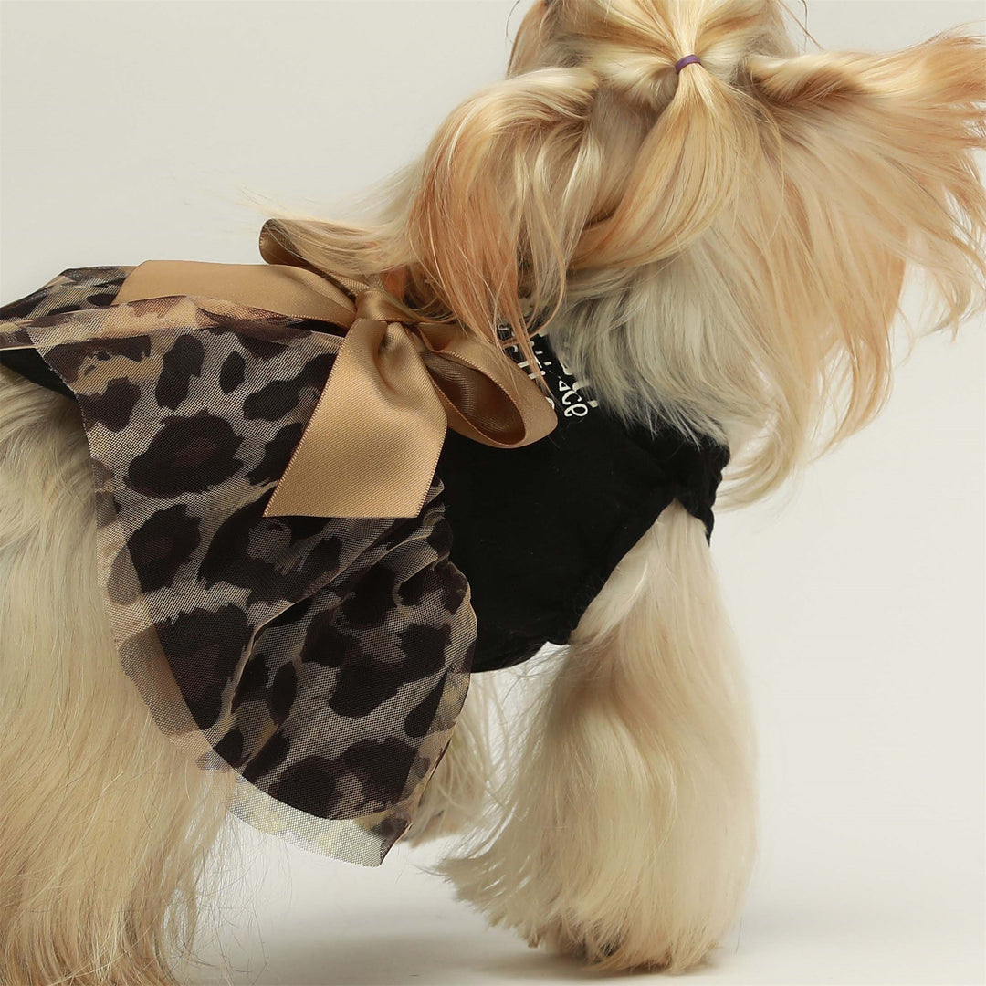 Leopard Floral yorkie clothing