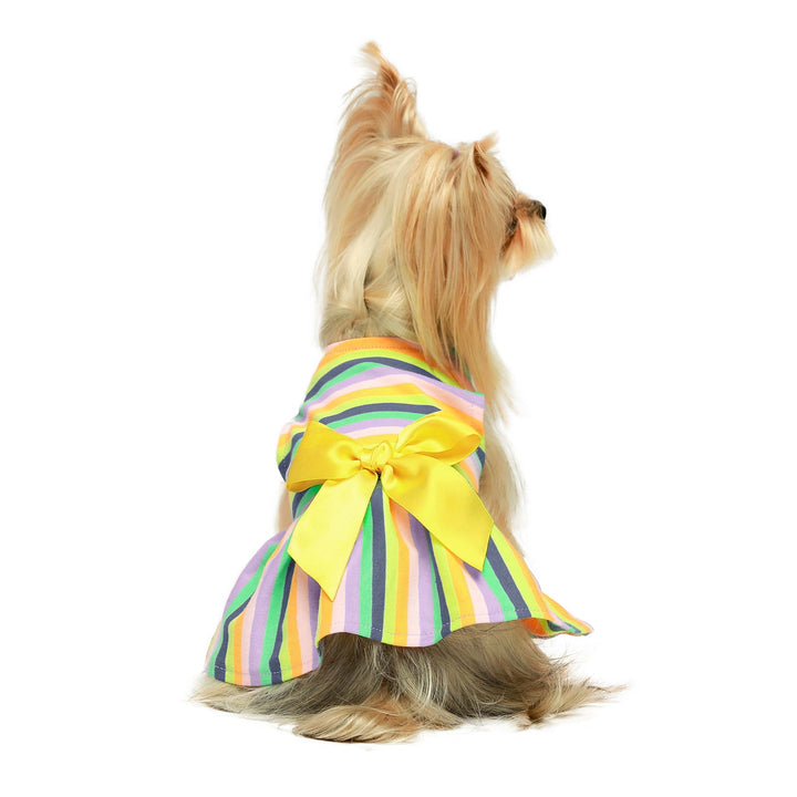Ribbon Bow teacup yorkie clothes
