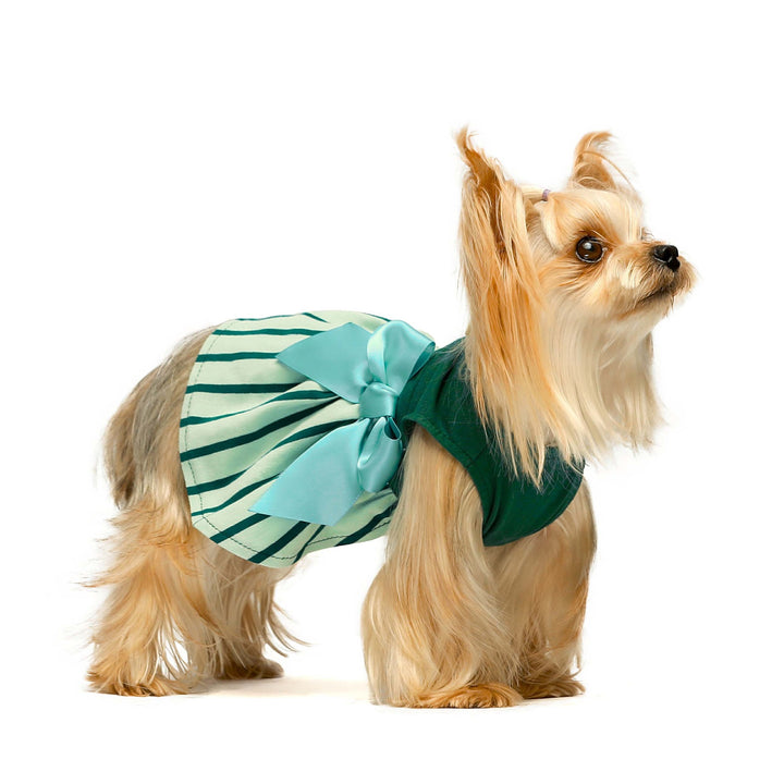 Green Stripe teacup yorkie clothes