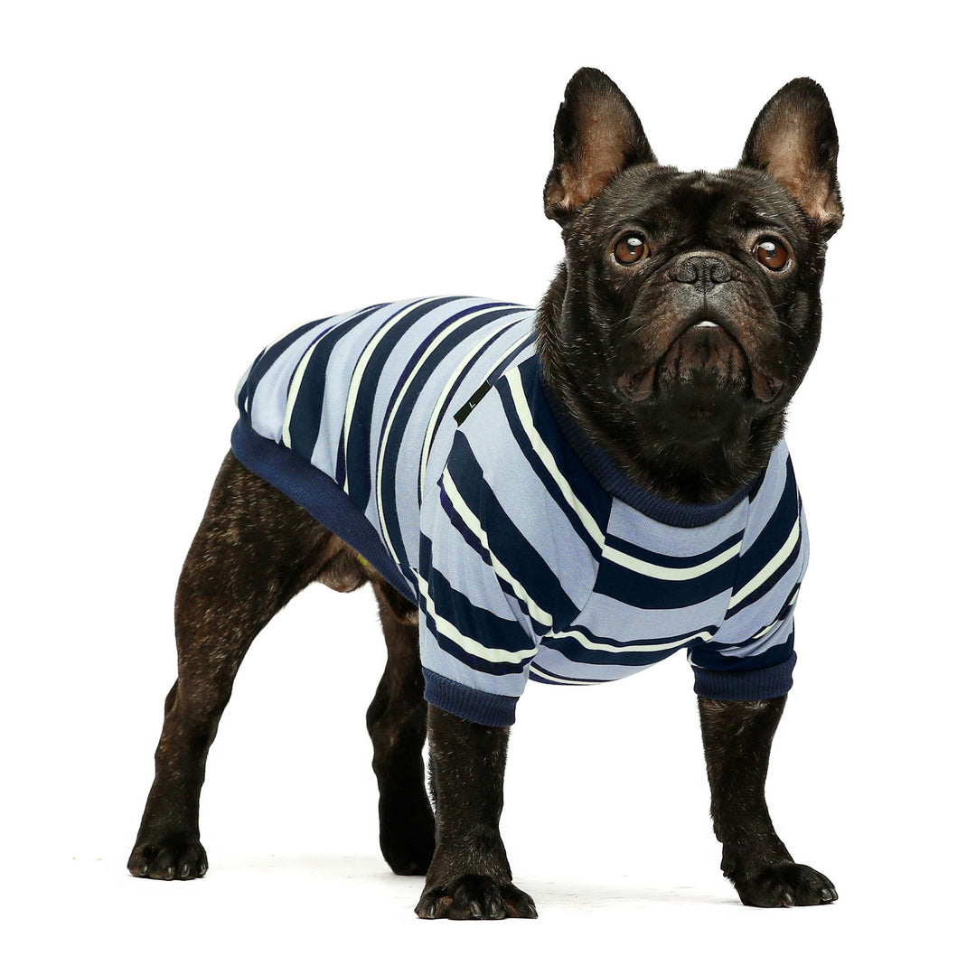 2-Pack 100% Cotton Striped Blue-Yellow french bulldog clothes