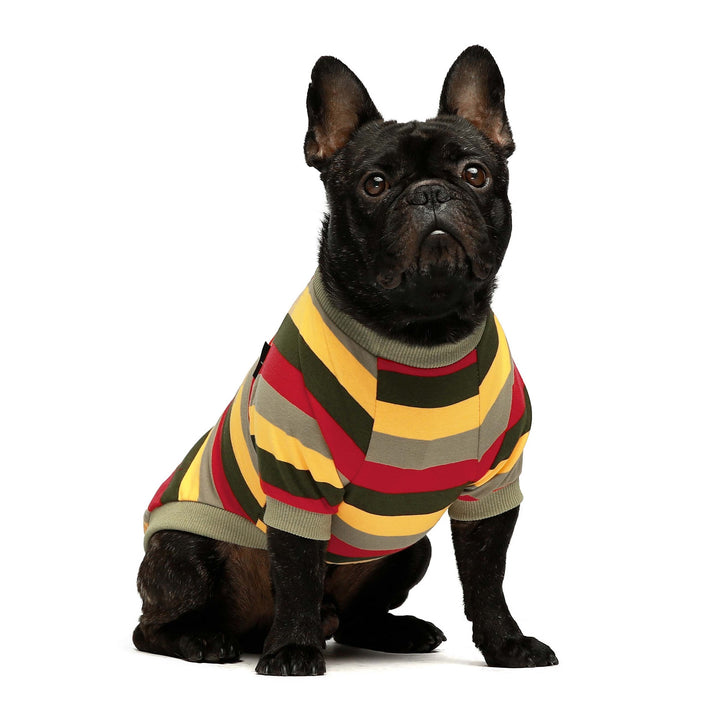 2-Pack 100% Cotton Striped Blue-Yellow frenchie clothing