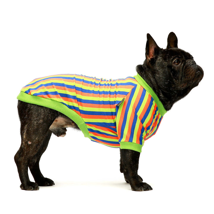 2-Pack 100% Cotton Striped Green-Blue frenchie clothing