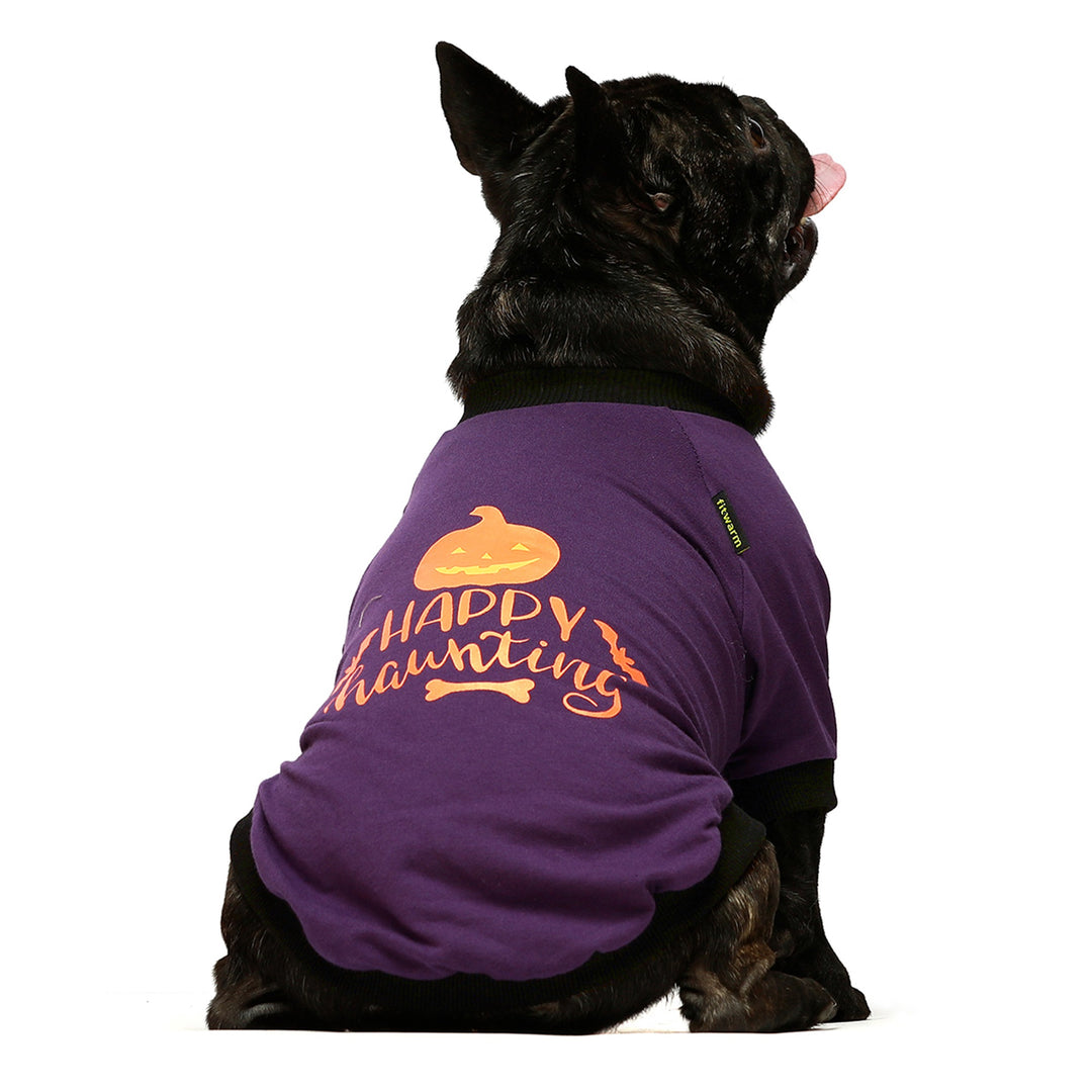 2-Pack Halloween frenchie clothing