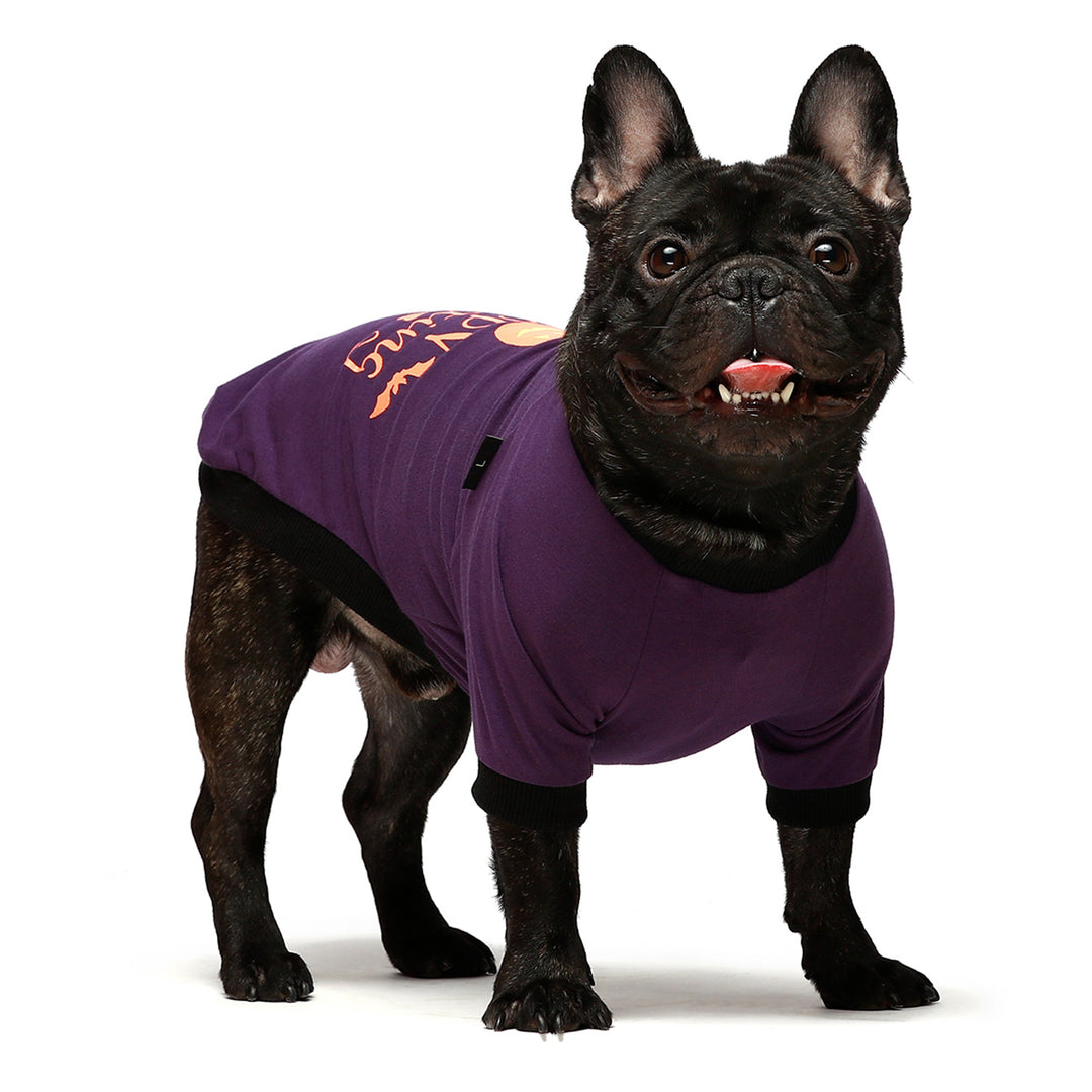 2-Pack Halloween clothing for frenchies