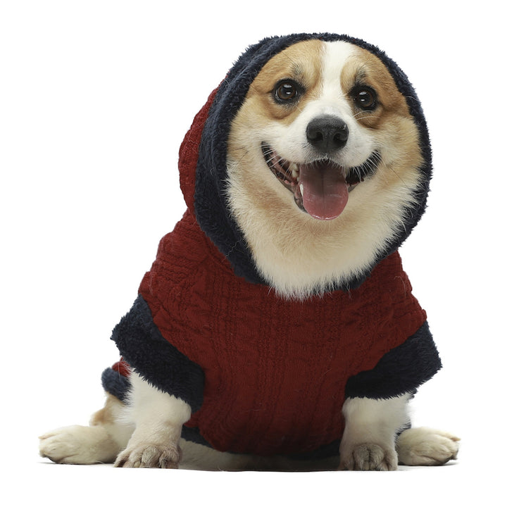 Hooded dog clothing