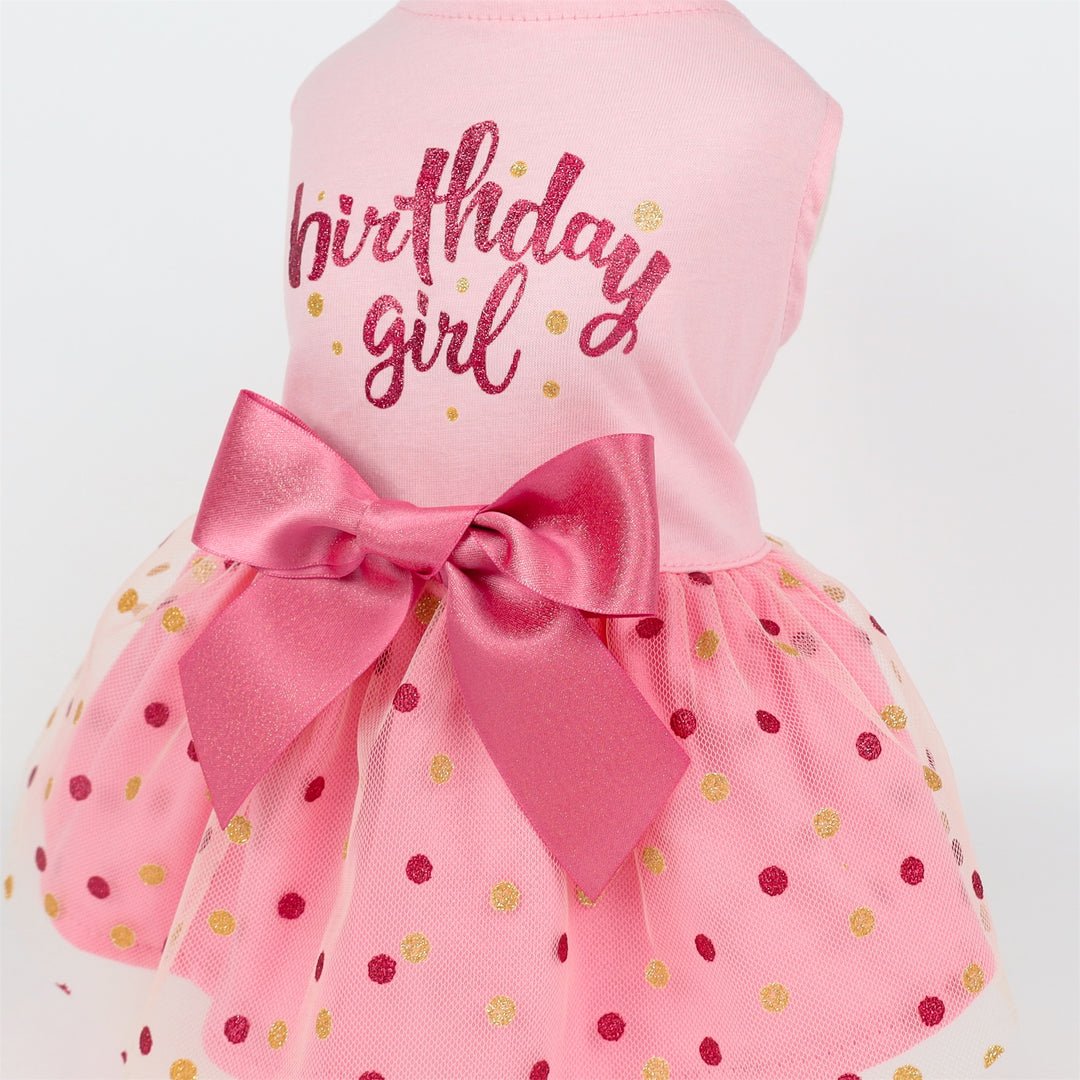 Birthday Girl Tulle dog apparel