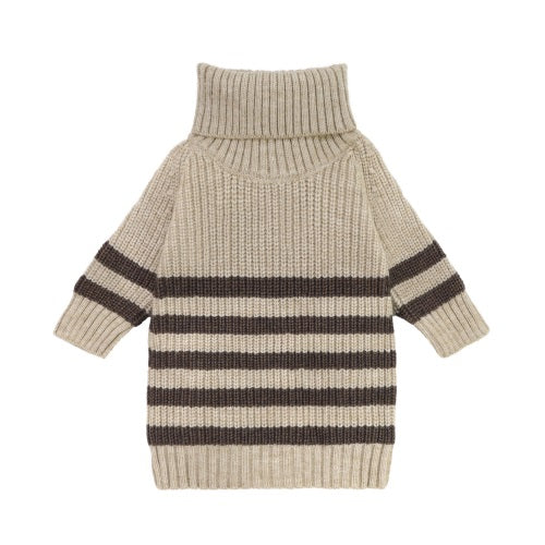 Turtleneck Knitted Striped dachshund clothes