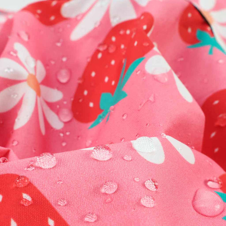 Strawberry Raincoat clothes for dogs