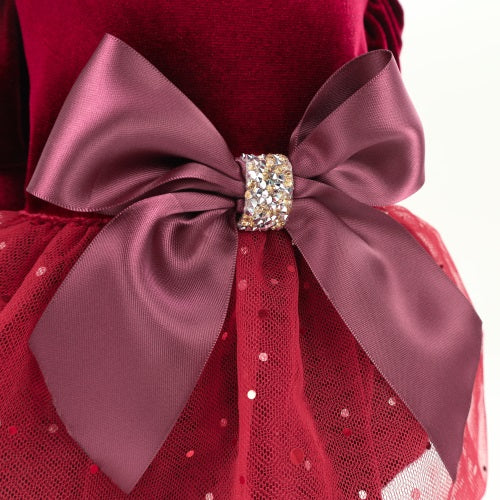 Glittery Princess Look Dog Tulle Dress | Fancy