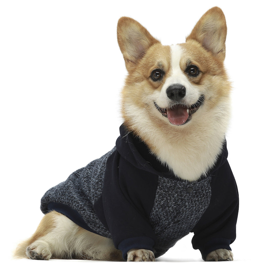 Knitted dog clothing