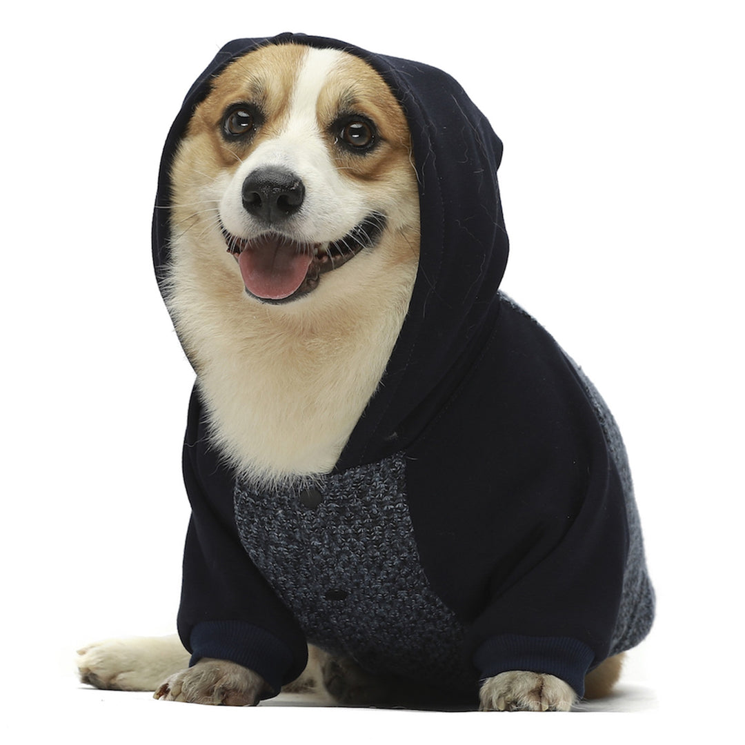 Knitted dogs clothes