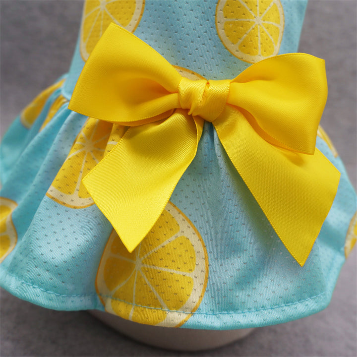 Lemon clothes for dogs