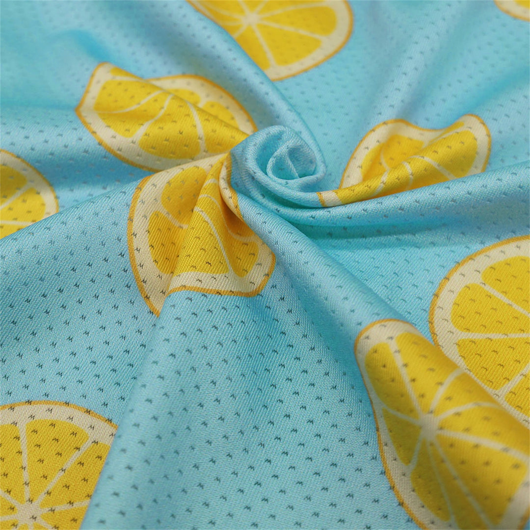 Lemon dog cloths