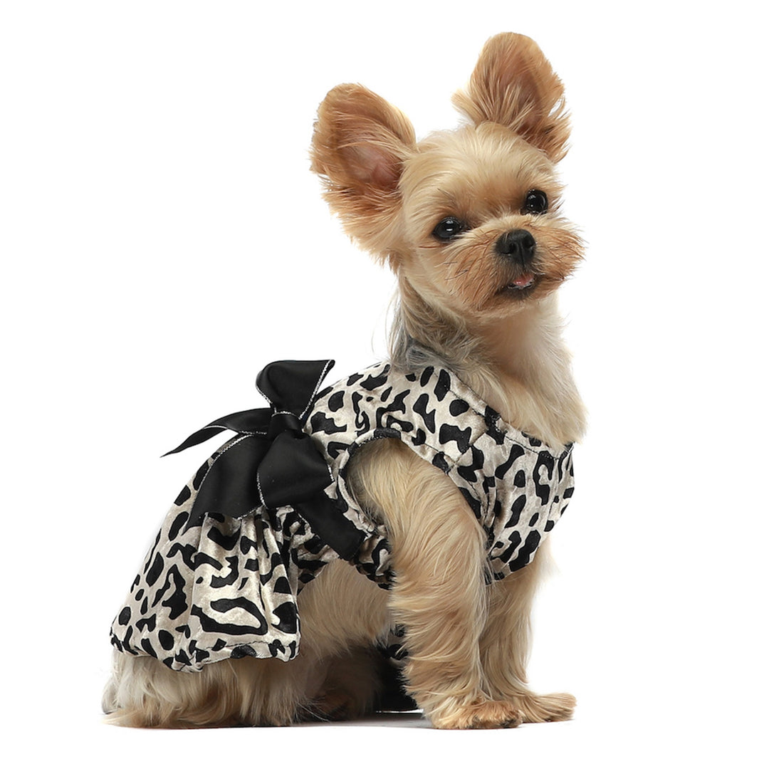Leopard Costume yorkie clothes