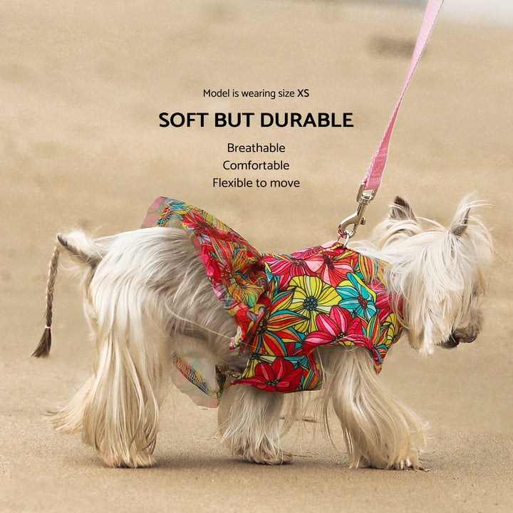 Harness Tulle Dog Dress with Leash Set