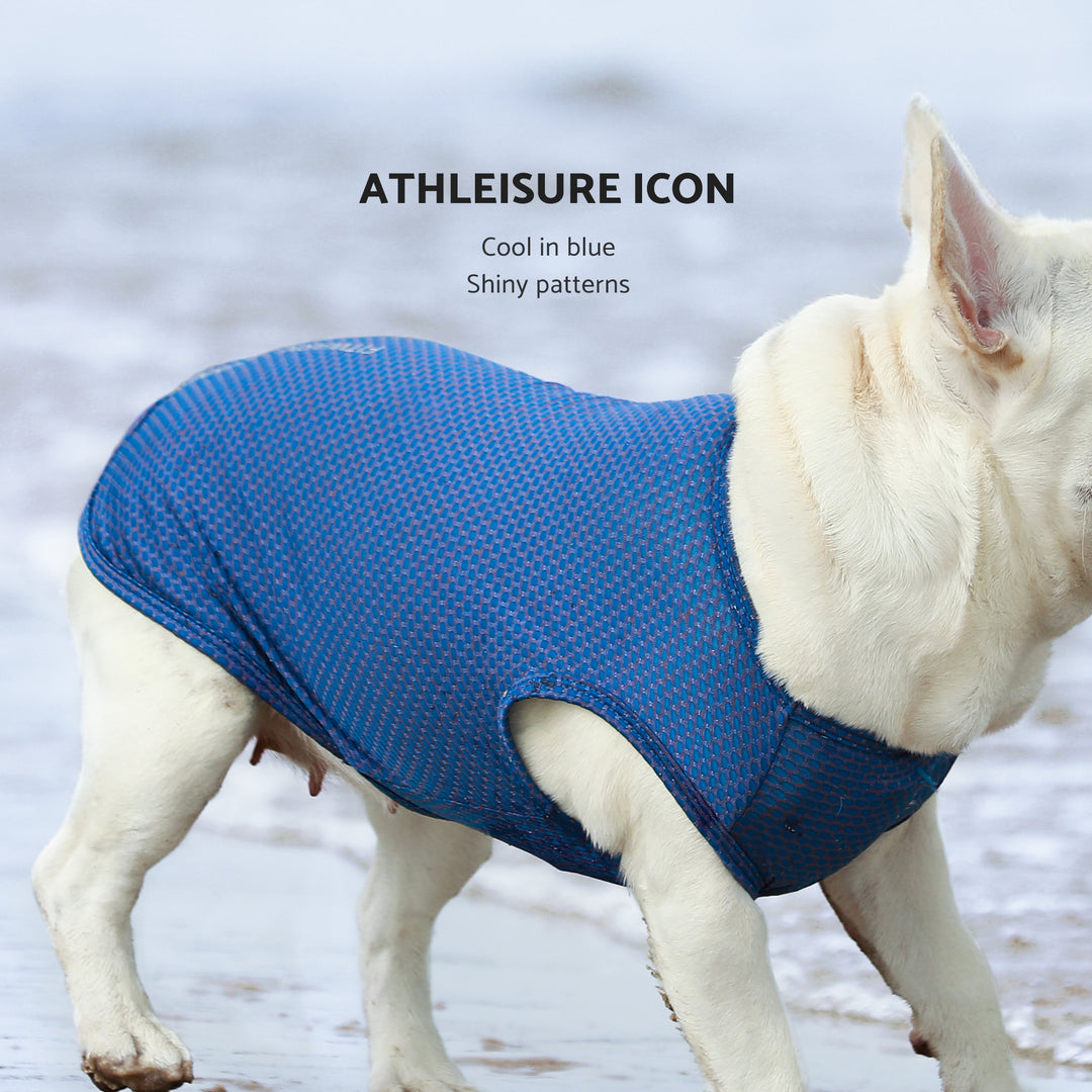 2-Pack Athletic Lightweight Running french bulldog clothes