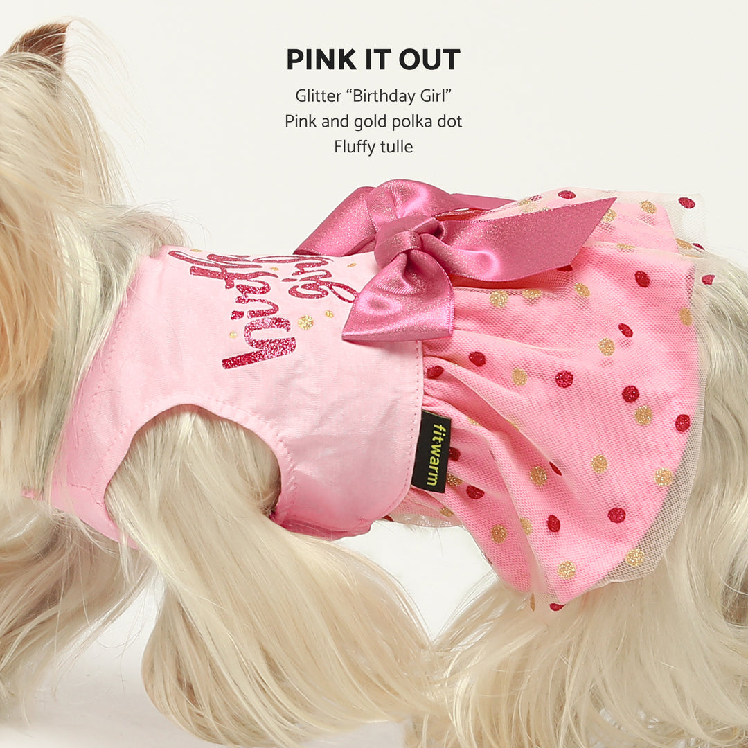 Birthday Girl Tulle yorkie clothes