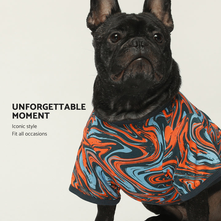 2-Pack Abstract Pigment frenchie clothing