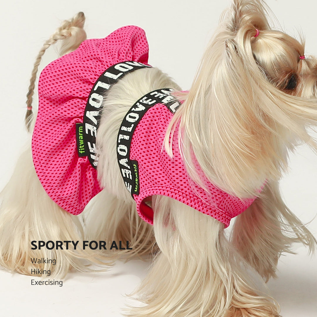 Hot Pink Athleisure 2 Piece teacup yorkie clothes
