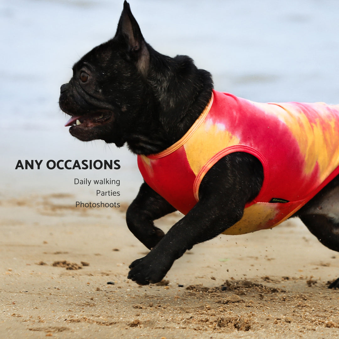 2-Pack Tie Dye frenchie clothing