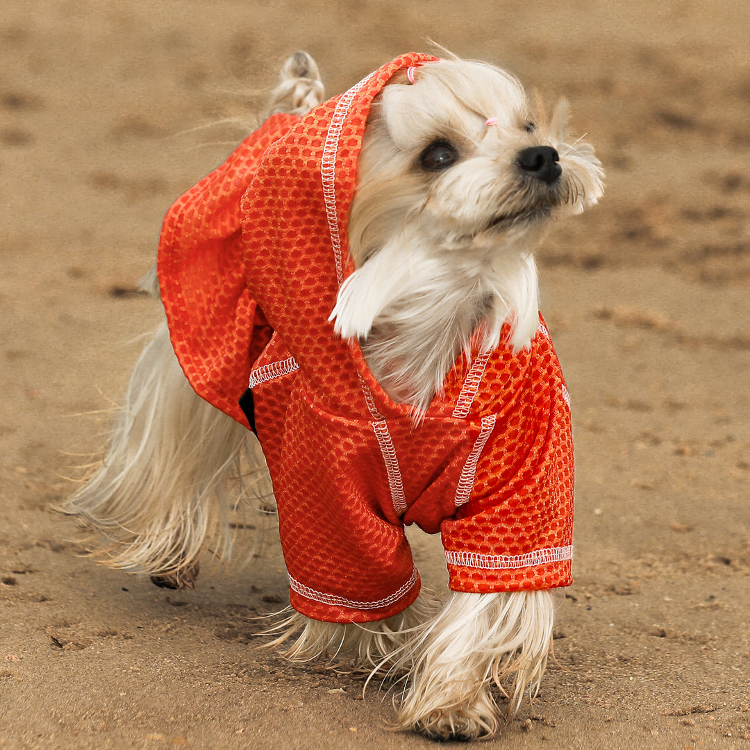 2 Piece Athleisure Lightweight Hooded teacup yorkie clothes