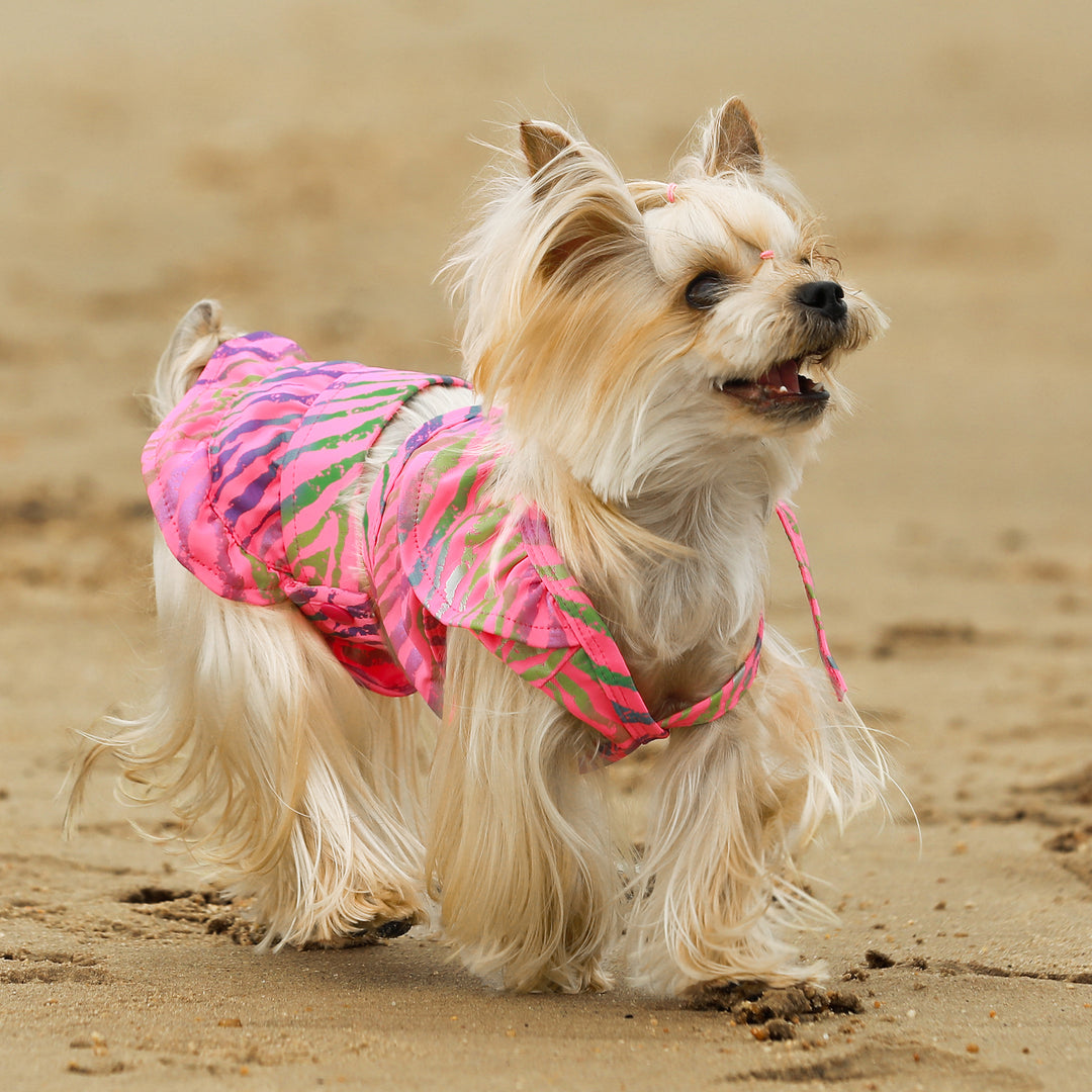 One Shoulder Flounce yorkie clothing