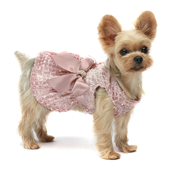 Embroidery Party Dog Dress