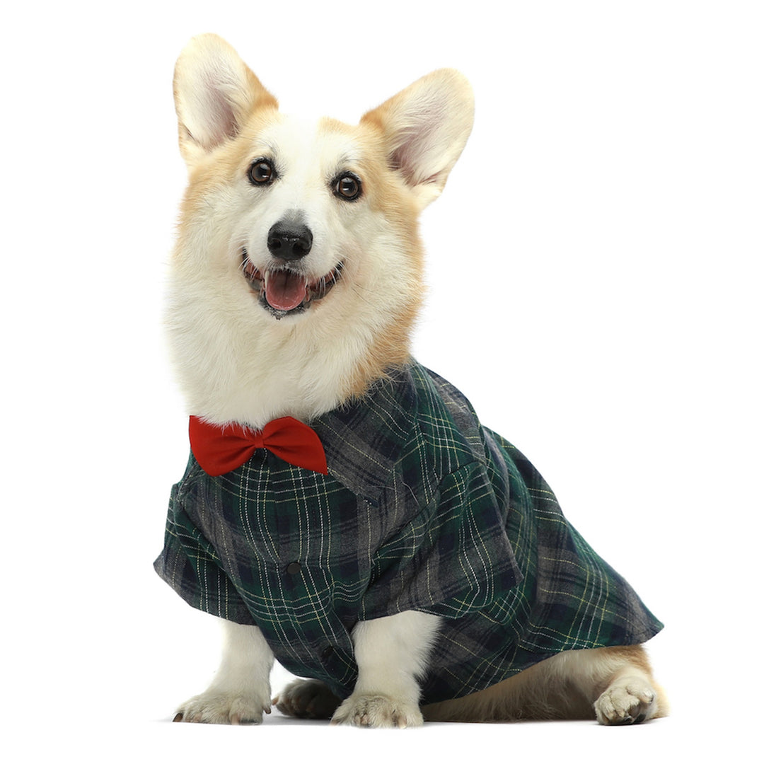 Plaid T-shirtst shirts for dogs