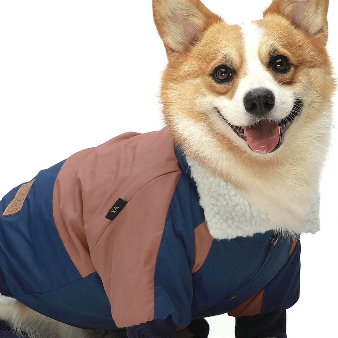 Waterproof Snowsuit dog jacket