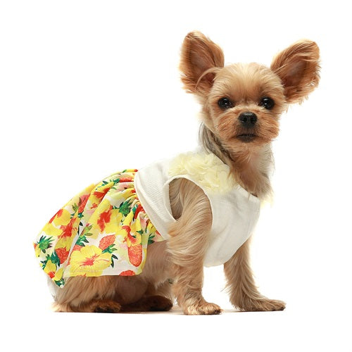 Yellow Pineapple yorkie clothes