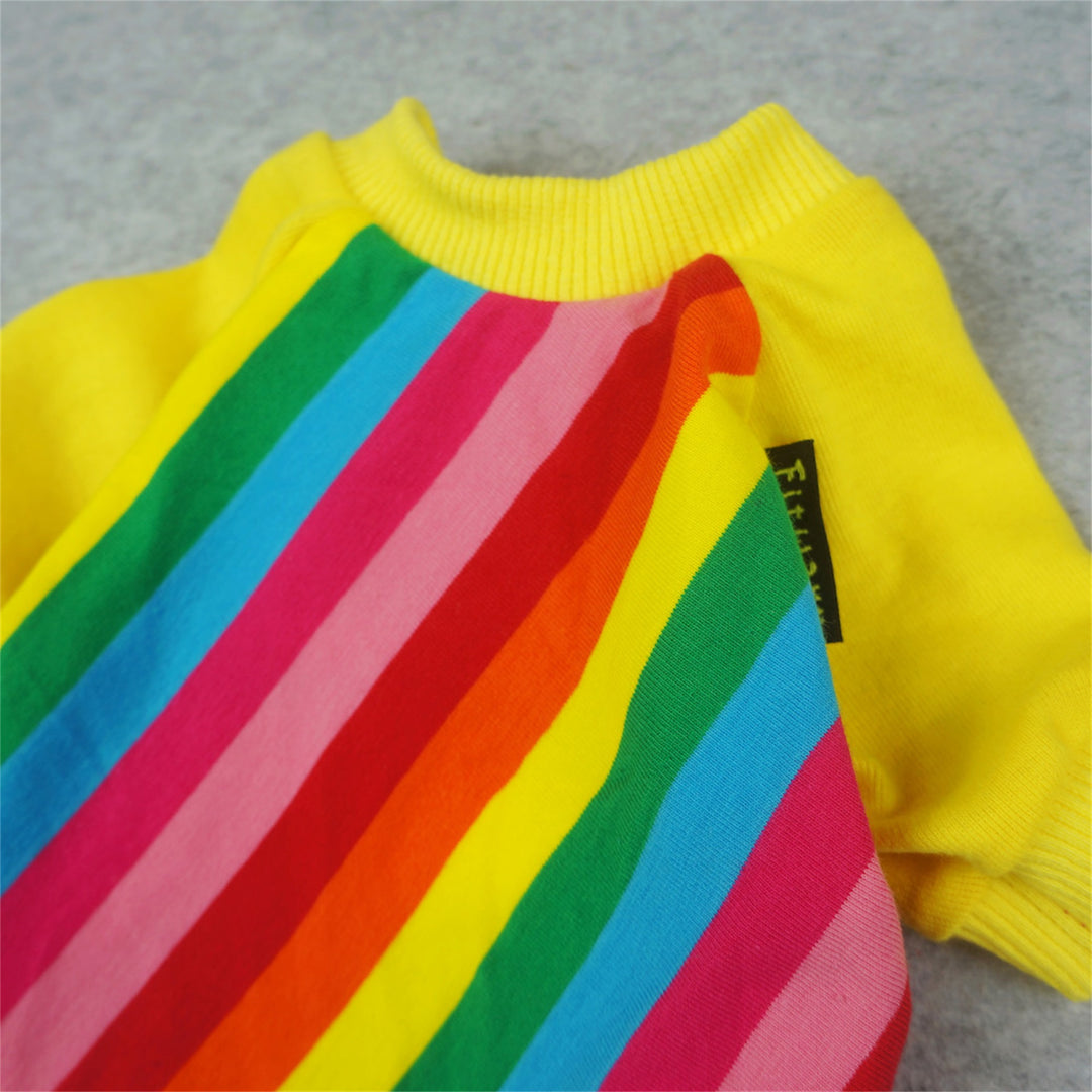 Rainbow dog shirt